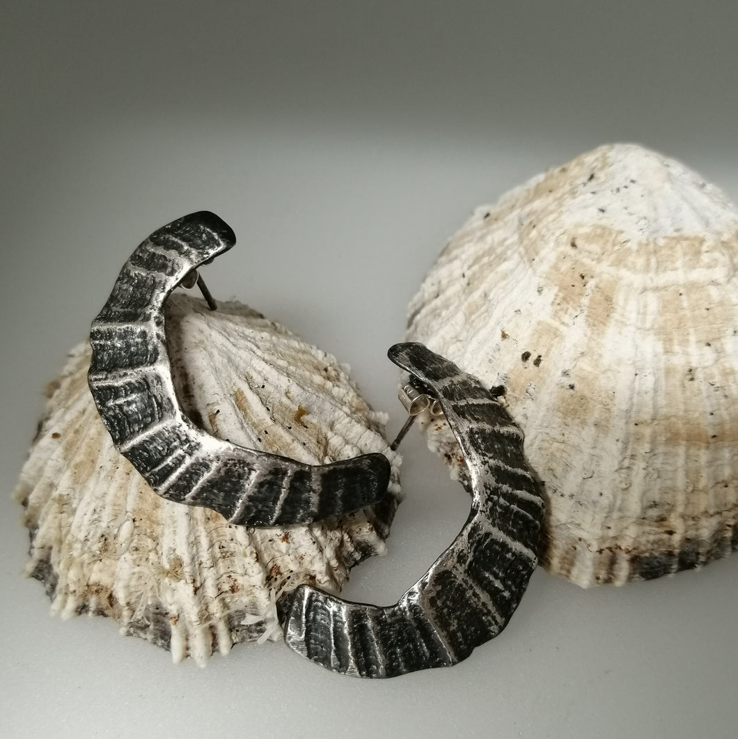 St Ives limpet fragment oxidised earrings