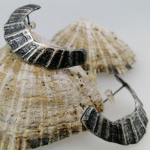 Load image into Gallery viewer, St Ives limpet fragment oxidised earrings