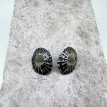 Load image into Gallery viewer, Mevagissey limpet shell stud oxidised earrings

