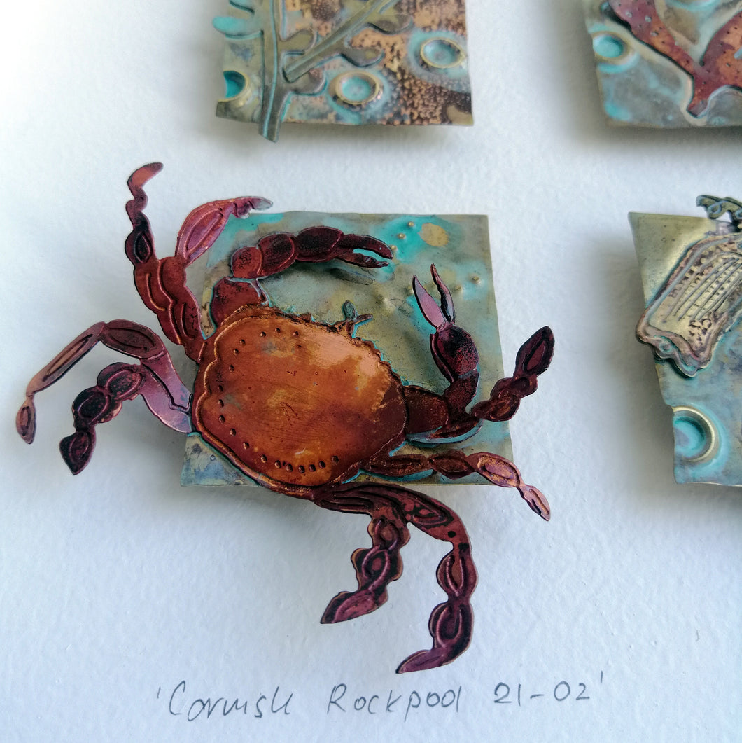 Metal seaweed & sea creatures in copper & brass framed as a picture handmade by Sharon McSwiney