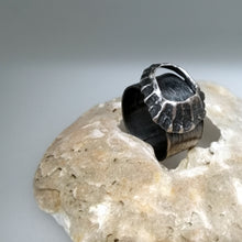 Load image into Gallery viewer, Godrevy limpet shell adjustable ring in oxidised silver handmade by Sharon McSwiney
