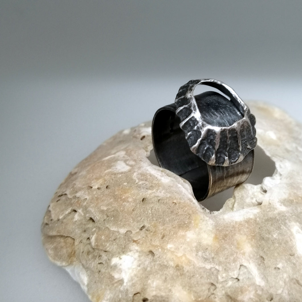 Godrevy limpet shell adjustable ring in oxidised silver handmade by Sharon McSwiney