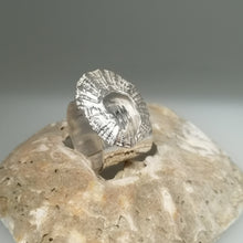 Load image into Gallery viewer, Marazion limpet shell ring in sterling silver handmade by Sharon McSwiney
