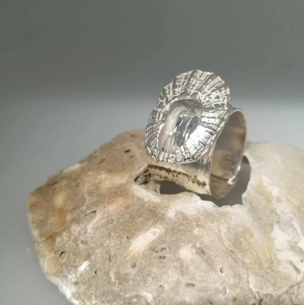 Marazion limpet shell ring in sterling silver handmade by Sharon McSwiney