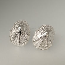 Load image into Gallery viewer, Sterling silver porthminster beach limpet stud earrings handmade by Sharon McSwiney
