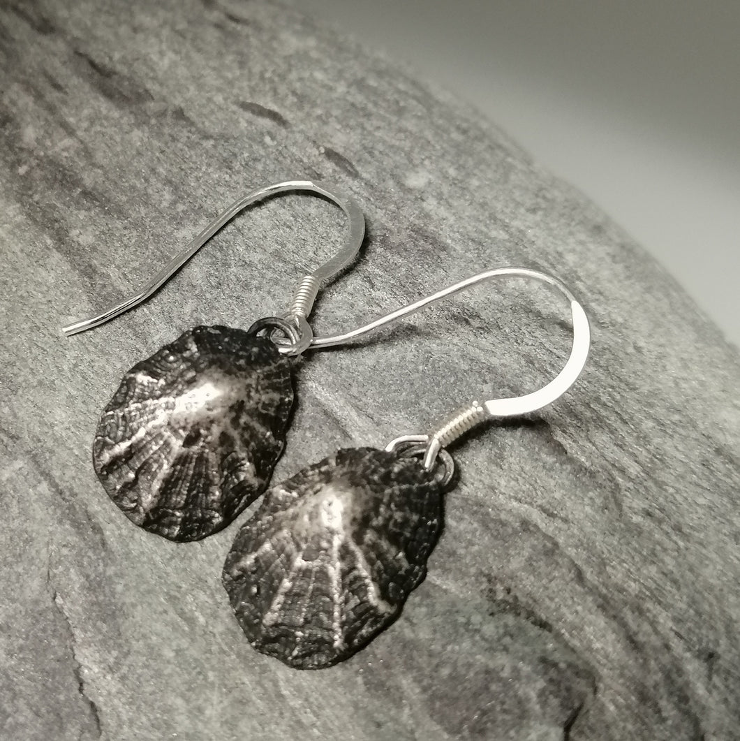 Oxidised silver Porthminster beach limpet shell earrings handmade by Sharon McSwiney
