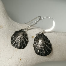 Load image into Gallery viewer, Porthminster Beach oxidised limpet earrings
