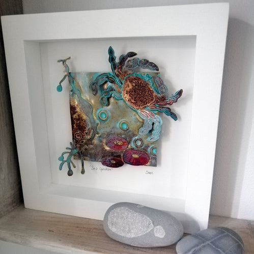 Sea garden picture with crab, seaweed, limpet metalwork handmade by Sharon McSwiney