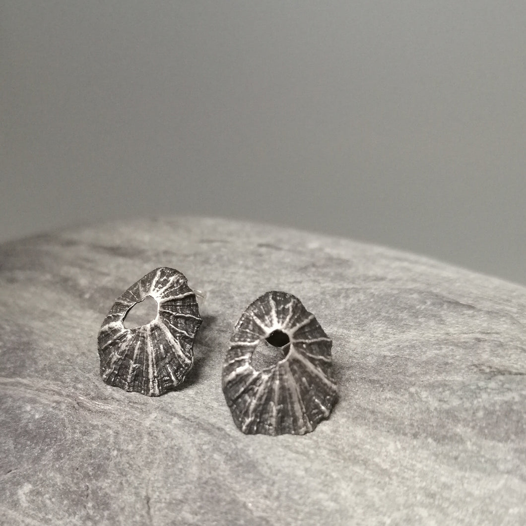 Sennen Cove limpet shell earrings in oxidised sterling silver handmade by Sharon McSwiney