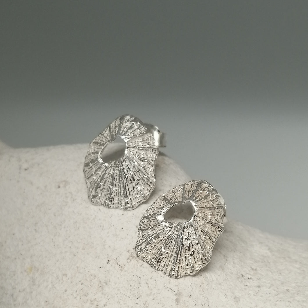 Sennen Cove limpet shell earrings in sterling silver handmade by Sharon McSwiney