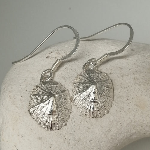 Small Marazion silver limpet shell drop earrings handmade by Sharon McSwiney