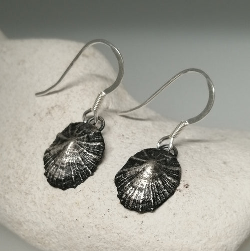 Oxidised small Marazion limpet shell drop earrings handmade by Sharon  McSwiney