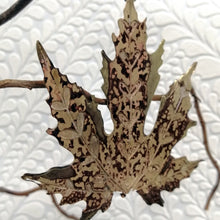 Load image into Gallery viewer, Extra Large Acer leaf decoration in brass Handmade by Sharon McSwiney 
