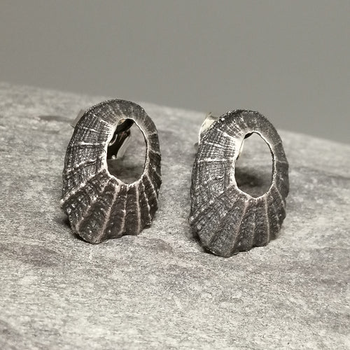 Oxidised silver tiny Marazion limpet shell studs handmade by Sharon McSwiney