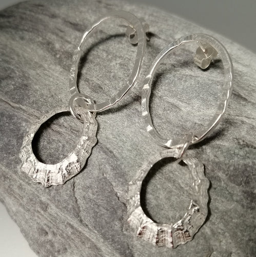 Porthmeor limpet shell earrings with hammered silver loop handmade by Sharon McSwiney
