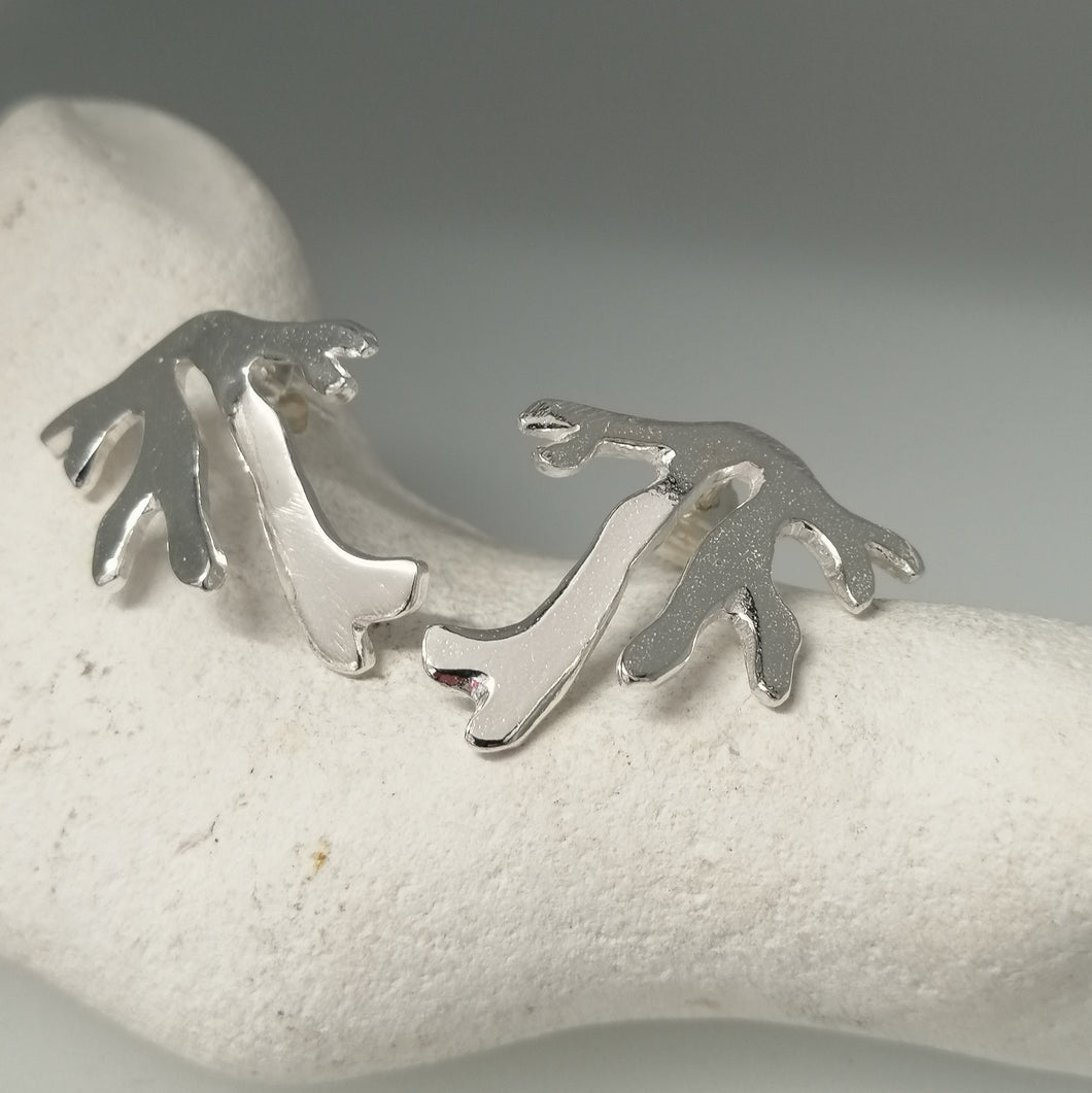 Seaweed frond stud earrings in sterling silver handmade by Sharon McSwiney