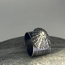 Load image into Gallery viewer, Oxidised Marazion adjustable full limpet shell ring
