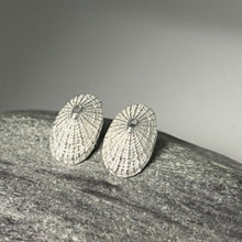 Load image into Gallery viewer, Porthmeor beach St Ives limpet earrings
