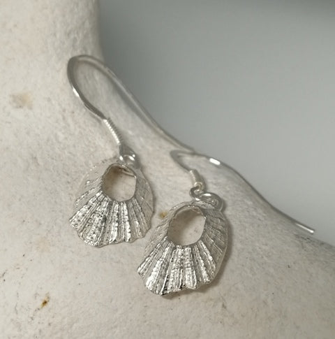Tiny Marazion limpet tiny drop earrings
