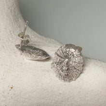 Load image into Gallery viewer, Small Marazion silver limpet shell stud earrings handmade by Sharon McSwiney
