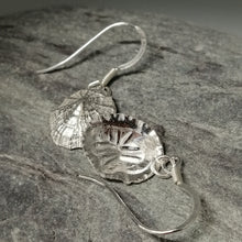 Load image into Gallery viewer, Small Marazion silver limpet shell drop earrings handmade by Sharon McSwiney
