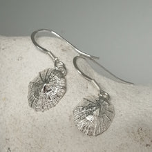 Load image into Gallery viewer, Small Marazion silver limpet shell drop earrings handmade by Sharon McSwiney
