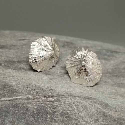 Small Marazion silver limpet shell stud earrings handmade by Sharon McSwiney