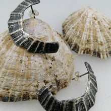 Load image into Gallery viewer, St Ives limpet fragment oxidised earrings
