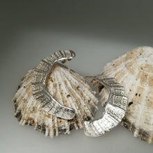 Load image into Gallery viewer, St Ives limpet fragment earrings

