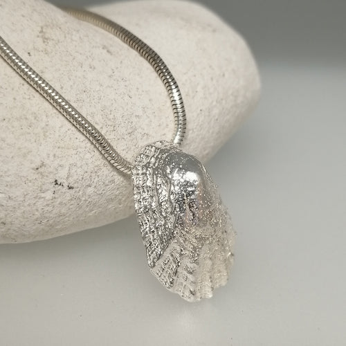 Porthminster beach sterling silver limpet shell necklace handmade by Sharon McSwiney